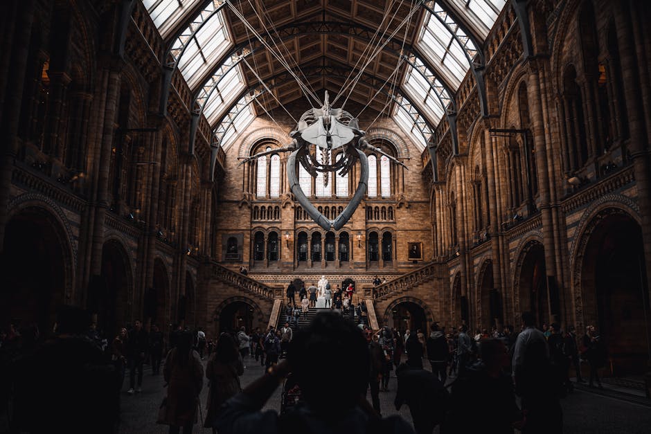 Close-up view of the detailed stone façade of the Victoria and Albert Museum, showcasing ornate architectural elements including sculpted figures, decorative arches, and intricate carvings in light g